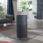 Allergy Seasons Or Shedding Pets Are No Match For The Smartmi Air Purifier 2 – Health Digest