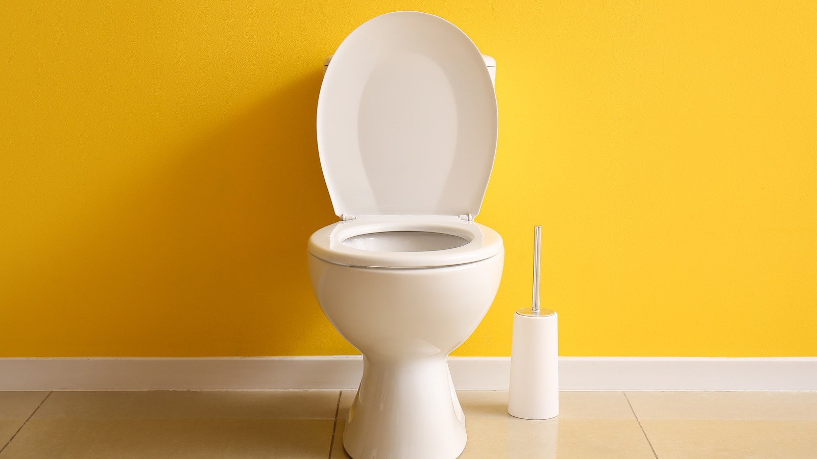 Should You Be Worried About Yellow Poop? Here's What We Know - Health Digest